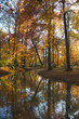 autumn brook