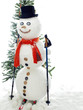 skiing snowman