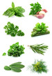 Collage of green