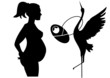 A Pregnant lady and a stork baby deliver with baby