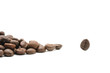 Chicco di caffe solitario /Coffee bean lone