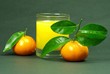 Orangen mit Orangensaft