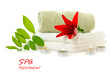 spa with red lily