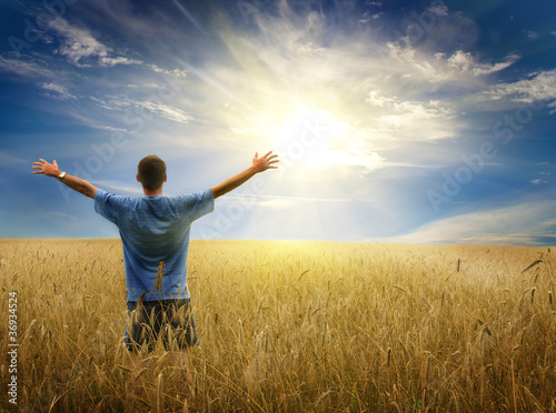 Photo: Man in yellow wheat meadow. Man in yellow wheat meadow.