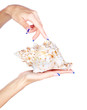 hands with shell hands with shell