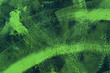 painted green brush strokes