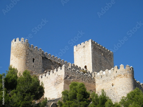 Foto: castillo de almansa castillo de almansa
