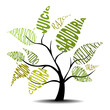 ARBOL DEL CONOCIMIENTO
