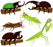 Vector insects - Grasshopper, Beetle, Praying Mantis