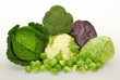 Kohl 075
