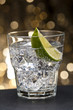 Gin Tonic Cocktail Gin Tonic Cocktail