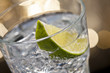 Gin Tonic Cocktail Gin Tonic Cocktail