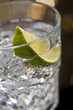 Gin Tonic Cocktail Gin Tonic Cocktail
