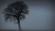 Video: Arbre en hiver Arbre en hiver