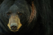 ours
