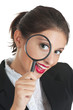 Foto: Searching for something Searching for something
