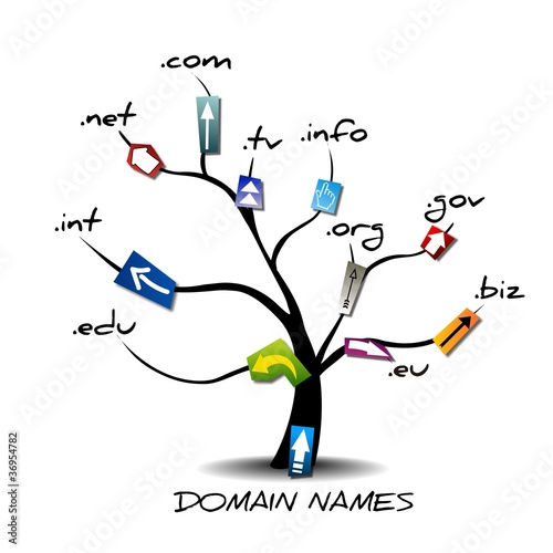 Vector: DOMAIN NAMES DOMAIN NAMES