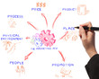business woman drawing the marketing mix idea board of business