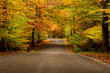 Road