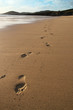 south harris footprints