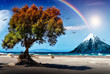 Paradies