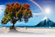Paradies2
