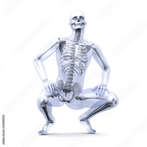 Illustration: Anatomie - Sitzen Anatomie - Sitzen