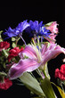 Lily and assorted flowers.