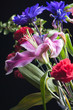 Lily with assorted flowers.