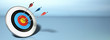 one arrow hitting center target, horizontal banner