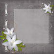 Album cover with blooming lilies, pearls and lace
