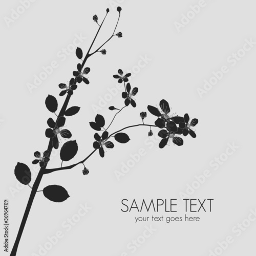 Vector: vector almond branch background vector almond branch background