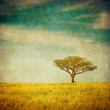 grunge image of a tree over grunge background