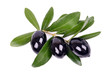Photo: Black olives with green leaves isolated white background Black olives with green leaves isolated white background