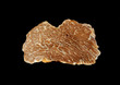 white truffle's texture