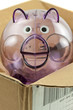 paquet postal, tirelire cochon rose translucide