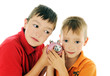 Photo: piggy bank piggy bank