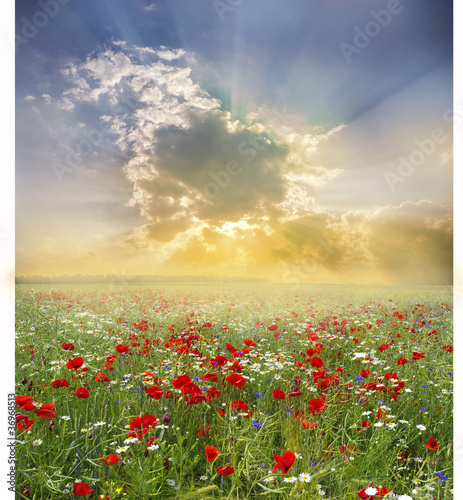 Photo: Landscape Landscape