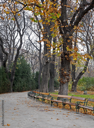 Photo: Vienna - Stadtpark in autumn Vienna - Stadtpark in autumn