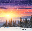 Winter landscape