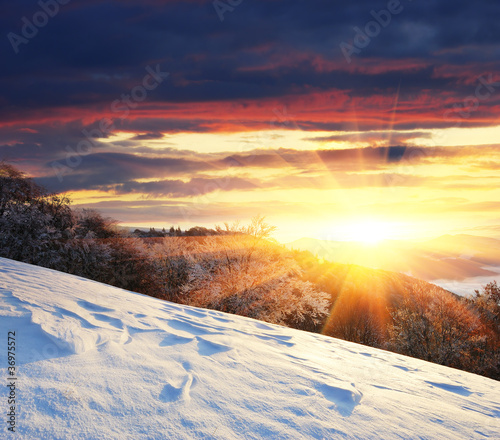 Photo: Winter landscape Winter landscape