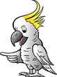 Hand-drawn Vector illustration of an Sulphur Crested Cockatoo Hand-drawn Vector illustration of an Sulphur Crested Cockatoo