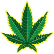 Leaf of marihuana Leaf of marihuana