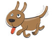 dog dog