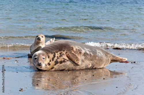 Photo: Helgoland Helgoland