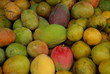 mangue