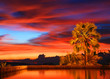Tropical sunset in Thailand, silhouette of palms