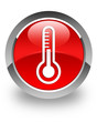 Thermometer icon
