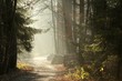 Country Road in the misty late autumn woods at dawn
