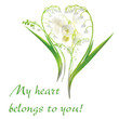 Heart from Lily of the Valley flowers Heart from Lily of the Valley flowers